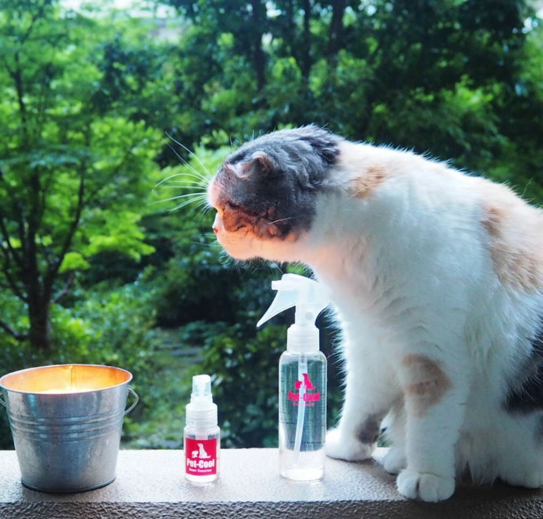 PET-COOL BEAN ESSENCE 防牛蜱蟎噴霧 120ml