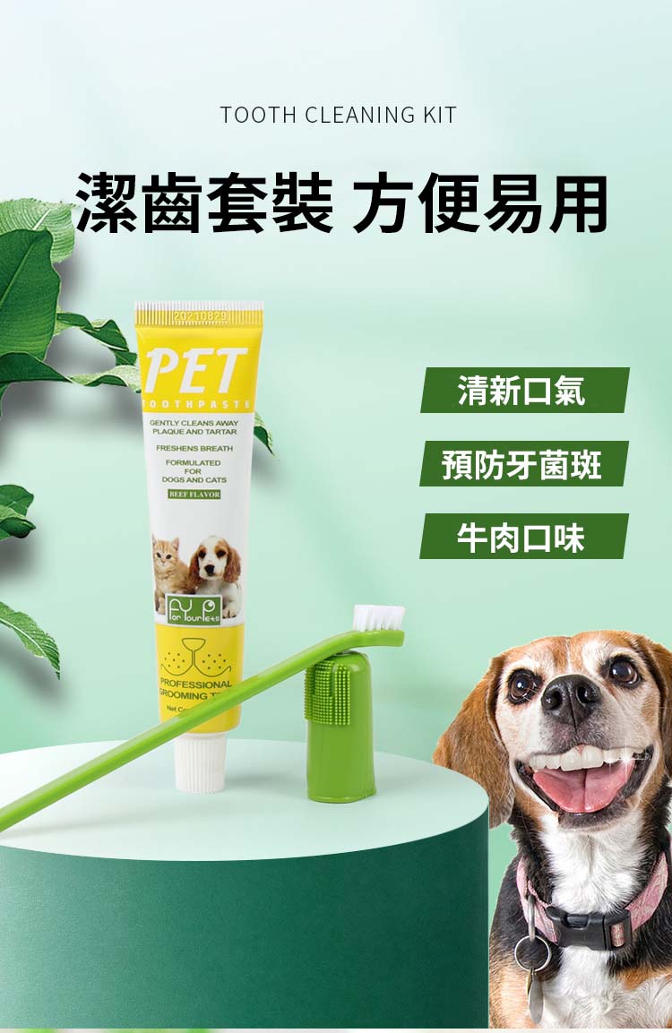 牛肉味寵物潔牙套裝 (1x寵物牙膏75g+1x長柄牙刷+1x指套牙刷) 顏色隨機發放#貓狗通用/去除牙菌斑/去除牙垢 /清新口氣