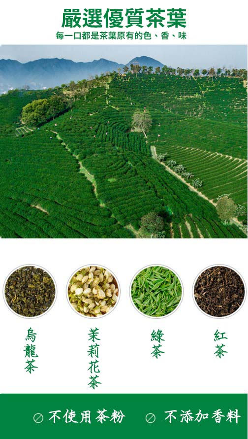 [原箱15樽]東方樹葉 茉莉花茶 500ml x 15(平行進口)