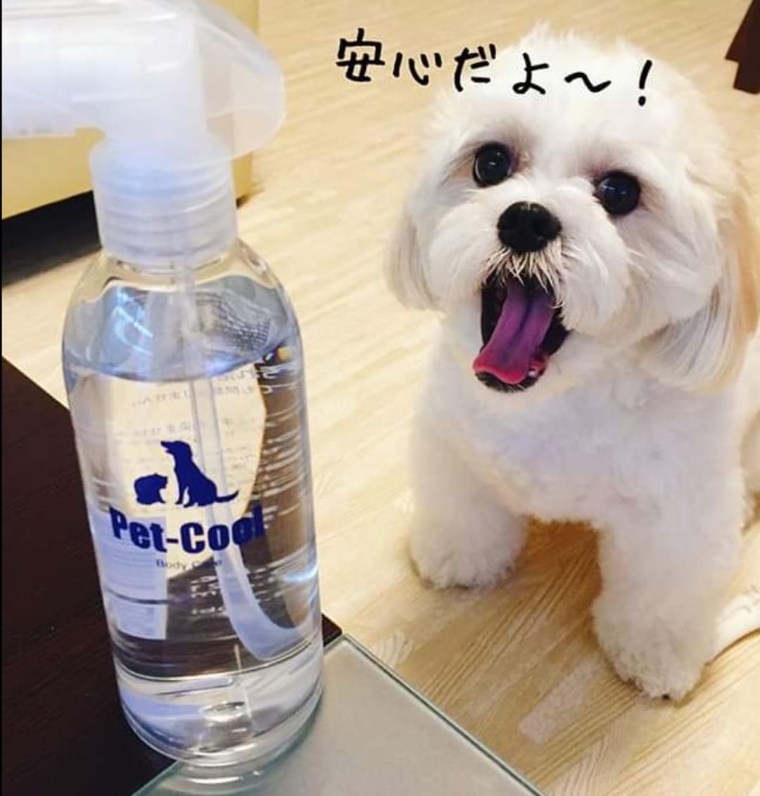 PET-COOL BODY CARE萬能水噴霧 300ml (除菌去污免洗清潔噴霧）